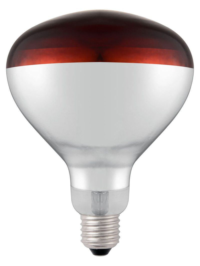 919217_shatterproof_bulb-red_02