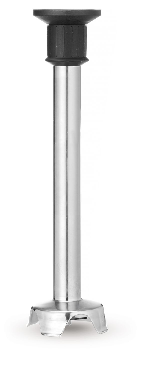 WSB55ST_2024